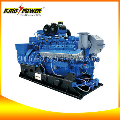 【供應(yīng)天然氣發(fā)電機(jī)】電讓世界變得更美！