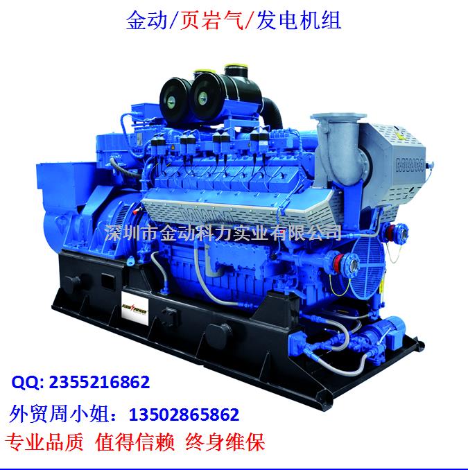 【深圳頁(yè)巖氣發(fā)電機(jī)】 發(fā)展趨勢(shì)無懈可擋！